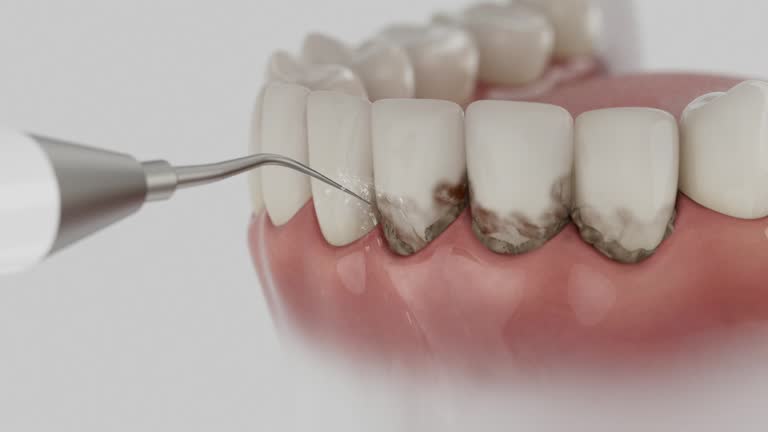 Reliable Dental contractor in Benton Harbor, MI by Dentist Open Now